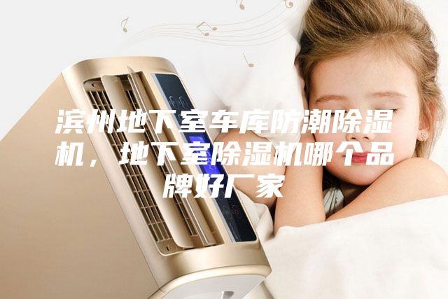 濱州地下室車庫防潮除濕機(jī)，地下室除濕機(jī)哪個品牌好廠家