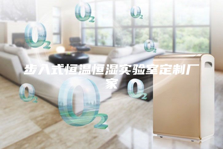 步入式恒温恒湿实验室定制厂家
