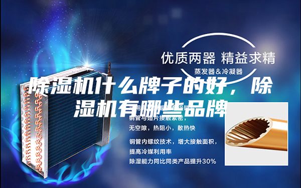 除濕機(jī)什么牌子的好，除濕機(jī)有哪些品牌