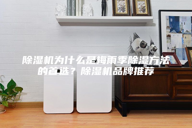 除濕機(jī)為什么是梅雨季除濕方法的首選？除濕機(jī)品牌推薦