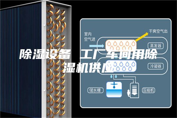 除濕設(shè)備 工廠車間用除濕機供應(yīng)