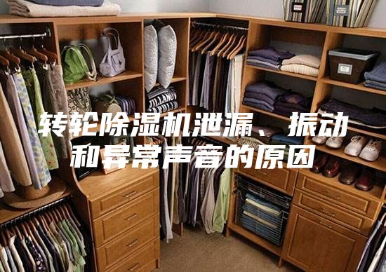 轉(zhuǎn)輪除濕機泄漏、振動和異常聲音的原因