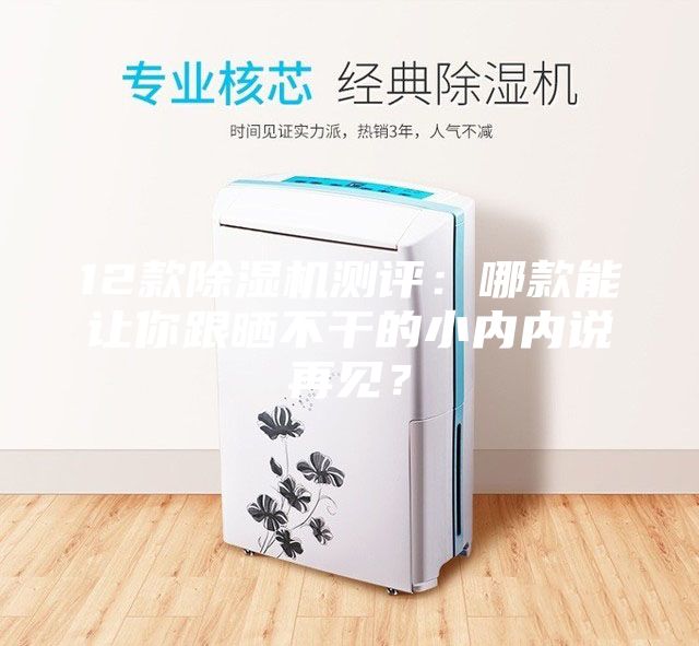 12款除濕機(jī)測評：哪款能讓你跟曬不干的小內(nèi)內(nèi)說再見？