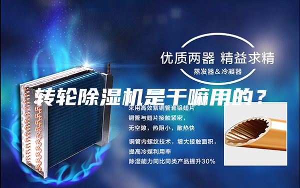 轉(zhuǎn)輪除濕機(jī)是干嘛用的？