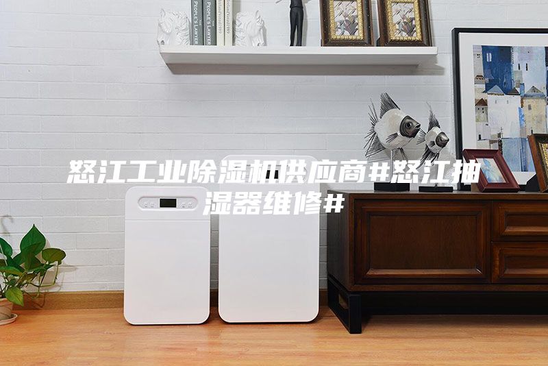 怒江工業(yè)除濕機供應(yīng)商#怒江抽濕器維修#