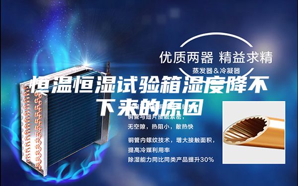 恒溫恒濕試驗箱濕度降不下來的原因