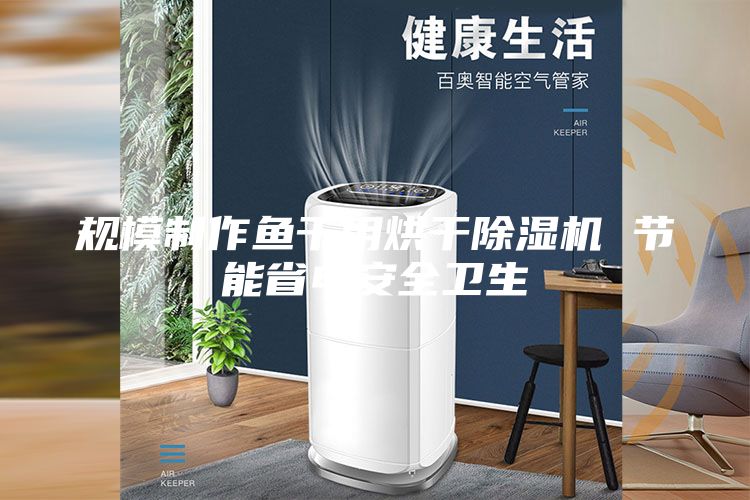 規(guī)模制作魚干用烘干除濕機(jī) 節(jié)能省電安全衛(wèi)生