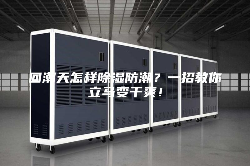 回潮天怎樣除濕防潮？一招教你立馬變干爽！