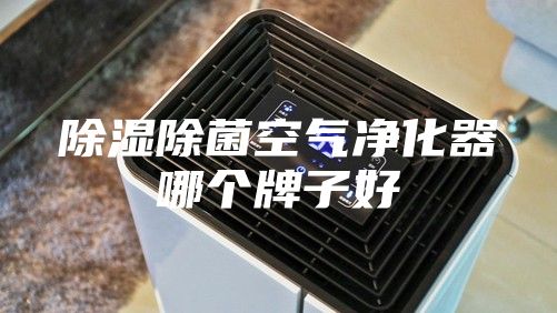 除濕除菌空氣凈化器哪個(gè)牌子好