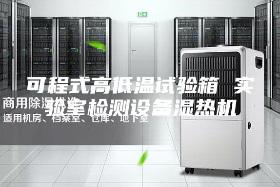 可程式高低溫試驗(yàn)箱 實(shí)驗(yàn)室檢測設(shè)備濕熱機(jī)