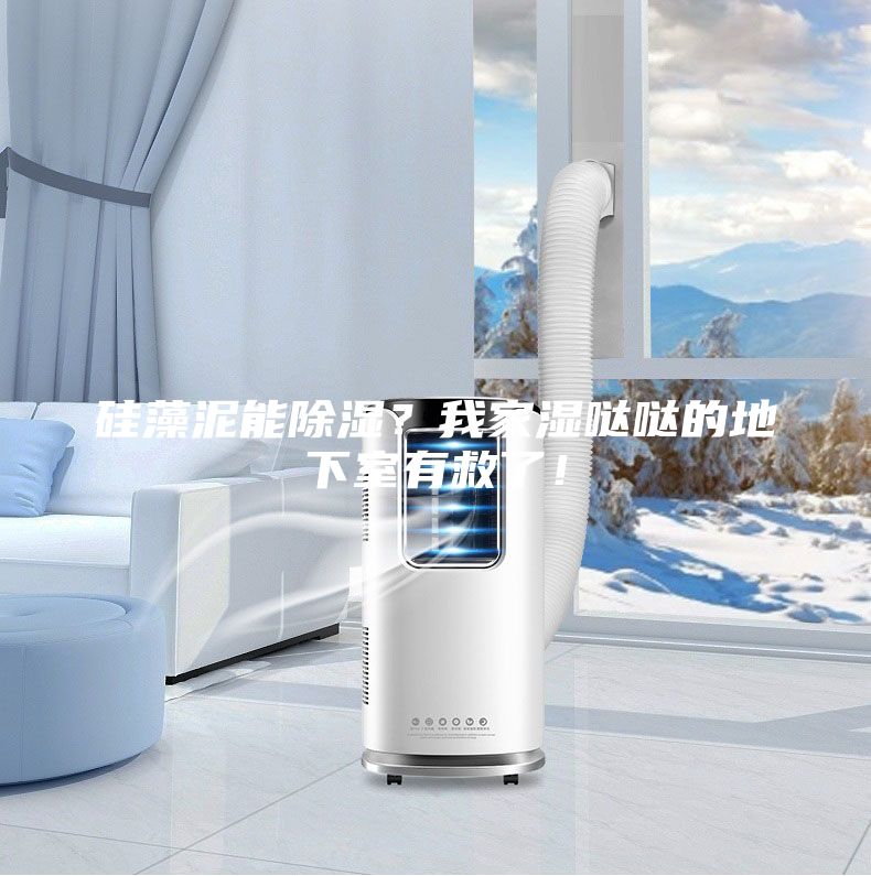 硅藻泥能除濕？我家濕噠噠的地下室有救了！